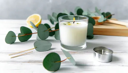 Klart morgenlys med eucalyptus i glas